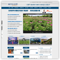 振兴东北网